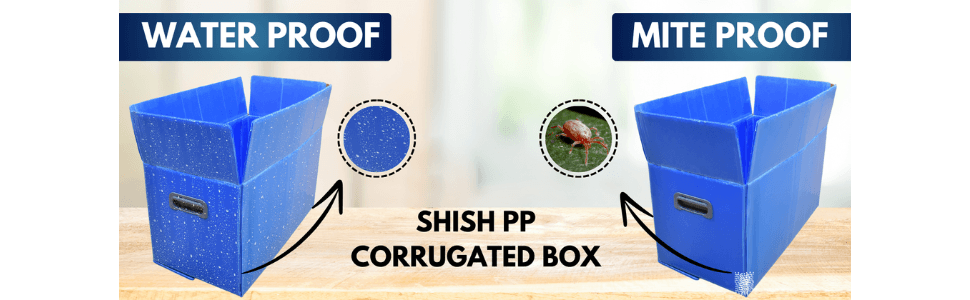 PP Corrugated Box